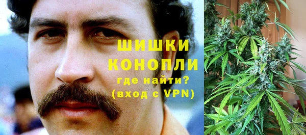 дживик Белокуриха