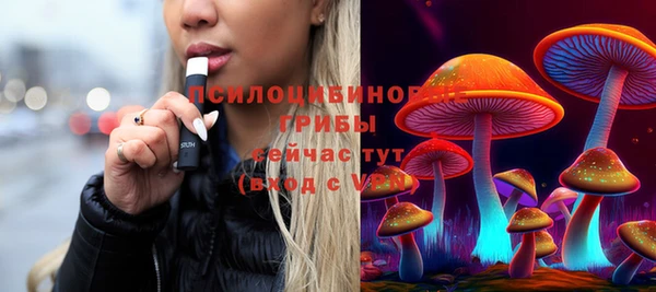PSILOCYBIN Белоозёрский