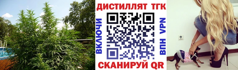 закладка Ленинградская ТГК вейп с тгк