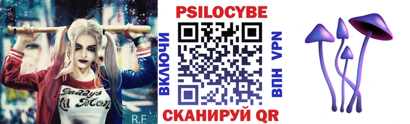 купить наркотик  Ленинградская  kraken зеркало  Псилоцибиновые грибы мицелий 
