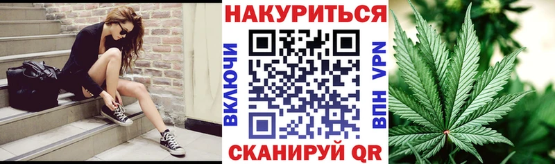 Канабис сатива  купить наркоту  Ленинградская 